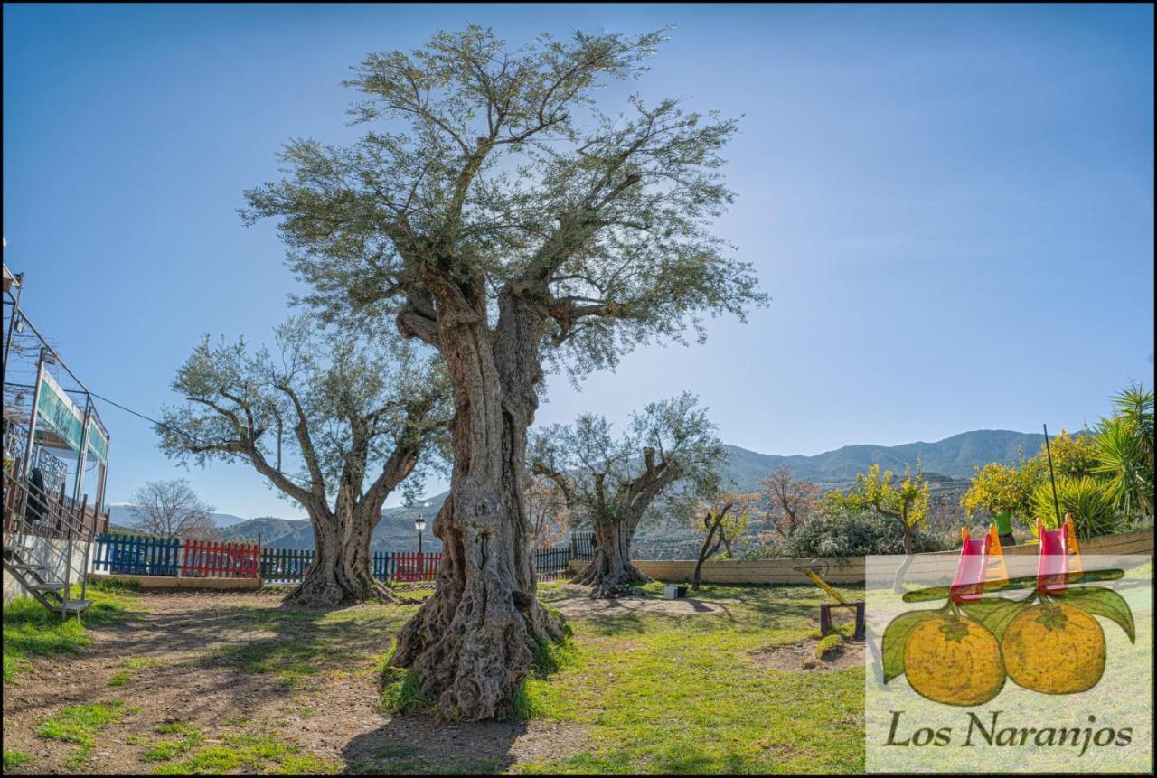 Hostal Y Apartamento Rural Los Naranjos Melegis 外观 照片