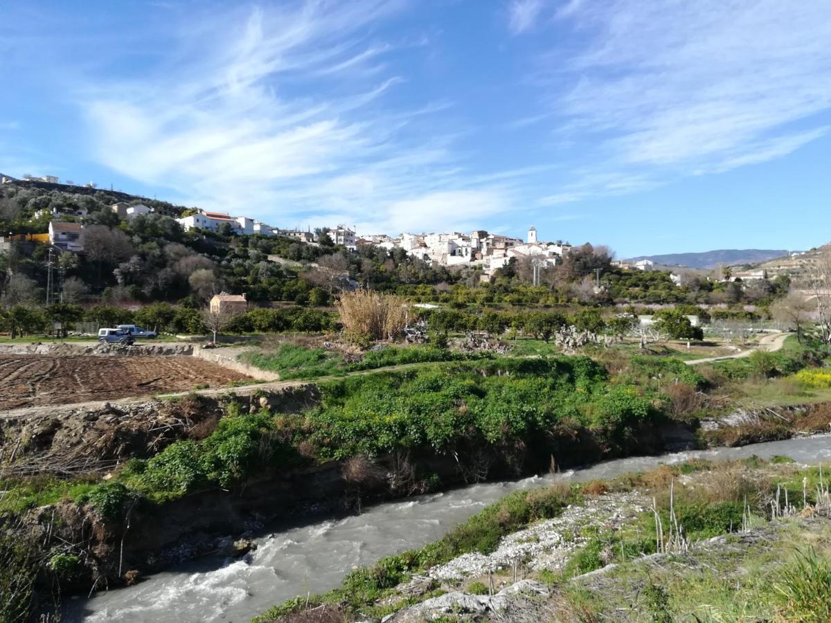 Hostal Y Apartamento Rural Los Naranjos Melegis 外观 照片