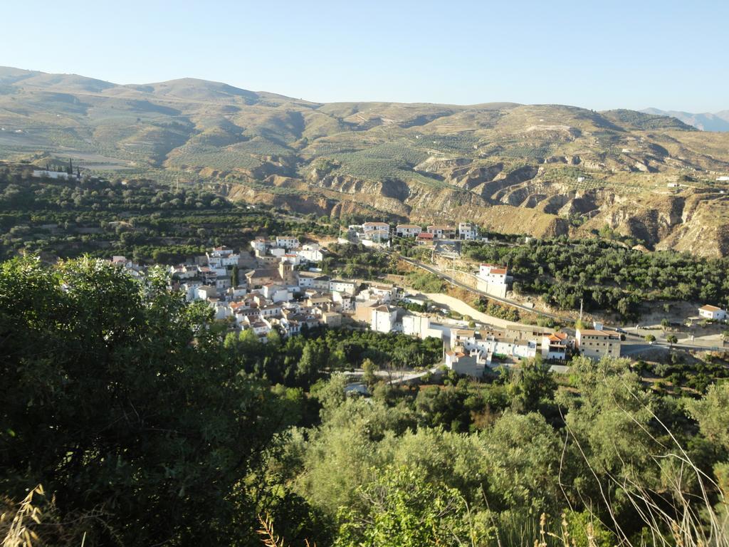 Hostal Y Apartamento Rural Los Naranjos Melegis 客房 照片