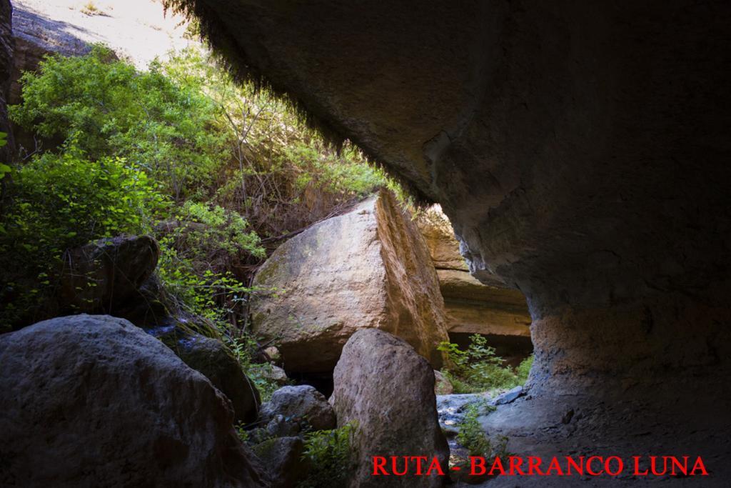 Hostal Y Apartamento Rural Los Naranjos Melegis 外观 照片