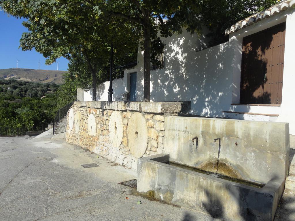 Hostal Y Apartamento Rural Los Naranjos Melegis 外观 照片