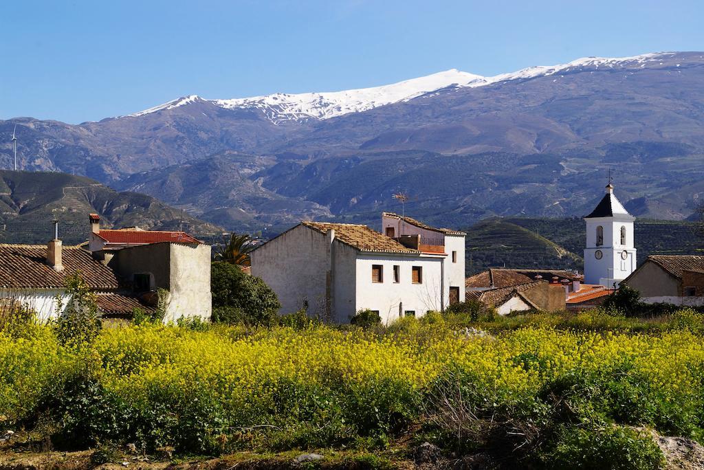 Hostal Y Apartamento Rural Los Naranjos Melegis 外观 照片