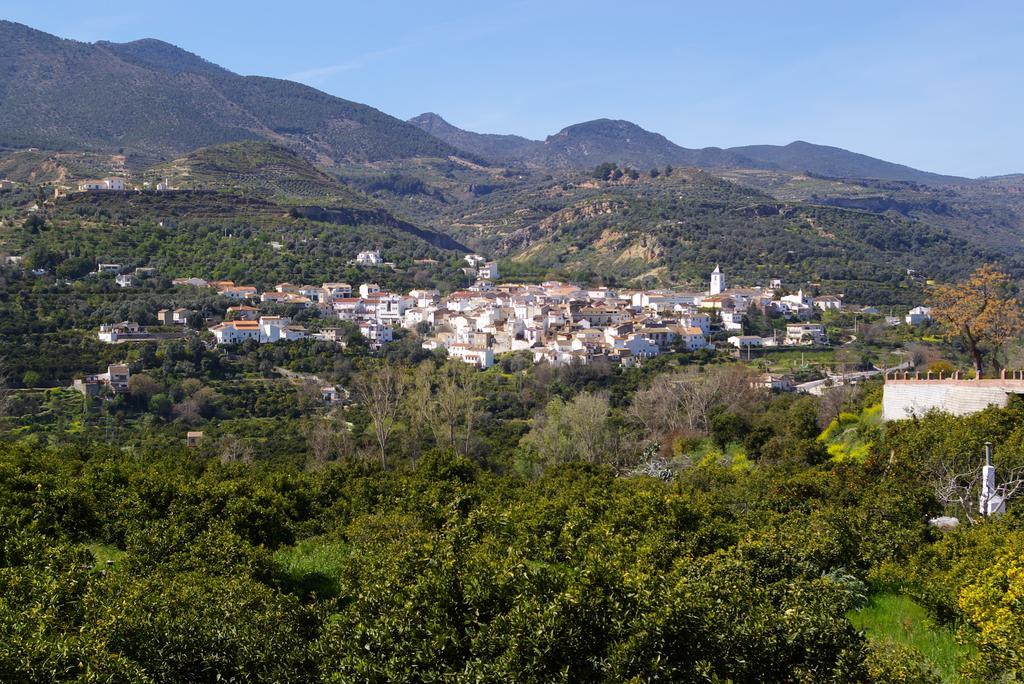 Hostal Y Apartamento Rural Los Naranjos Melegis 客房 照片