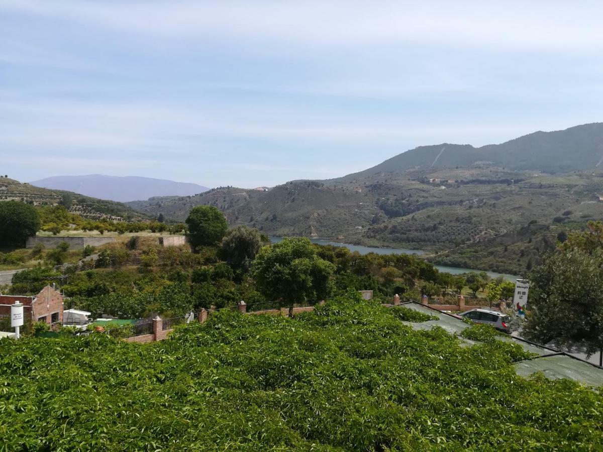 Hostal Y Apartamento Rural Los Naranjos Melegis 外观 照片