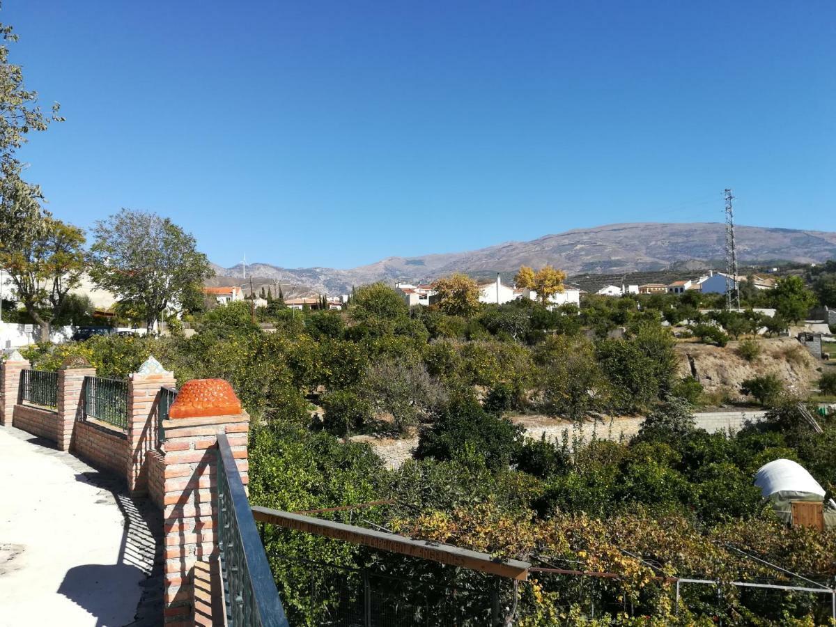 Hostal Y Apartamento Rural Los Naranjos Melegis 外观 照片